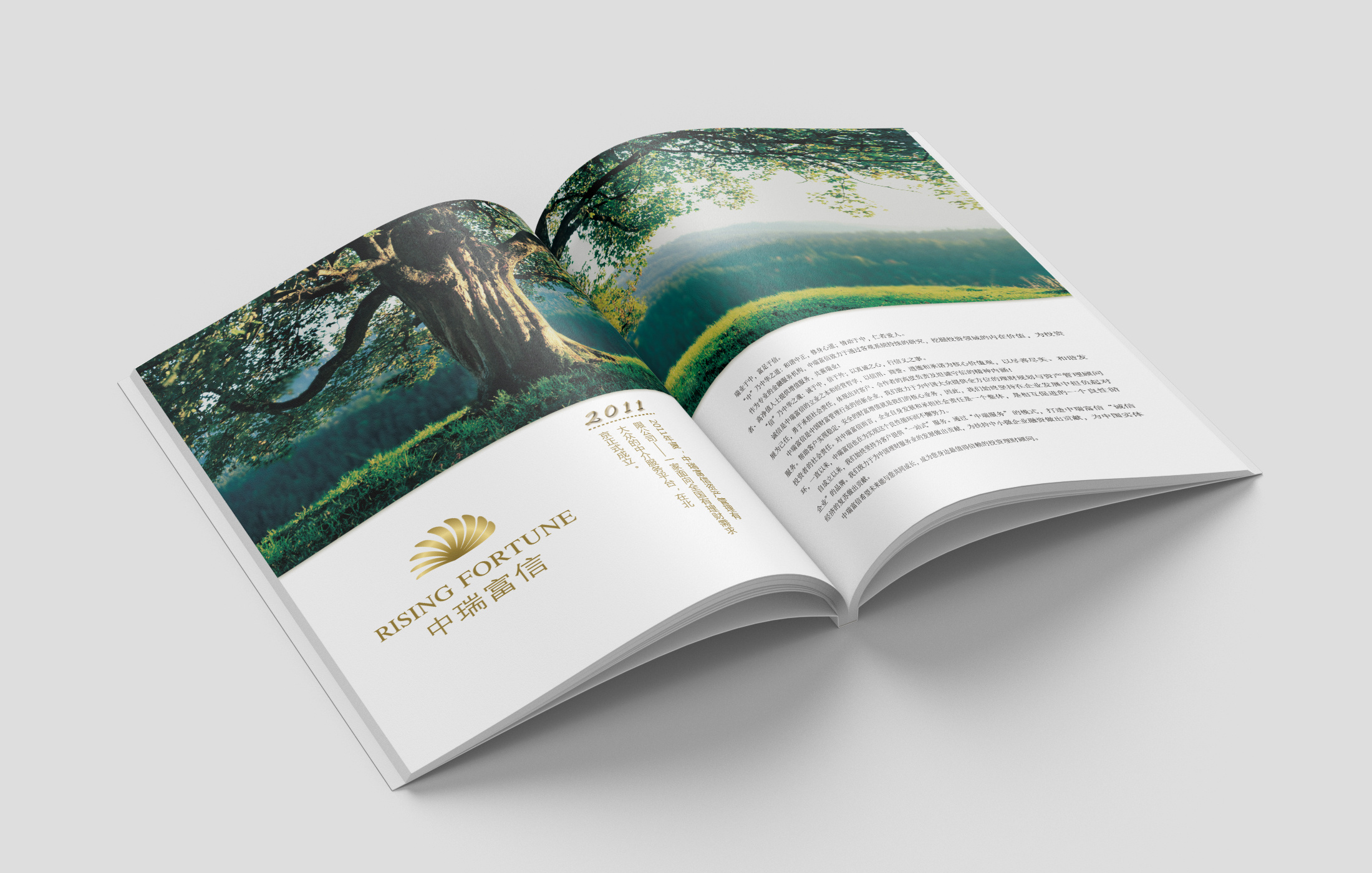 0190565a9ca1f9a8012195865f76c5.jpg@2o.jpg 0190565a9ca1f9a8012195865f76c5.jpg@2o.jpg